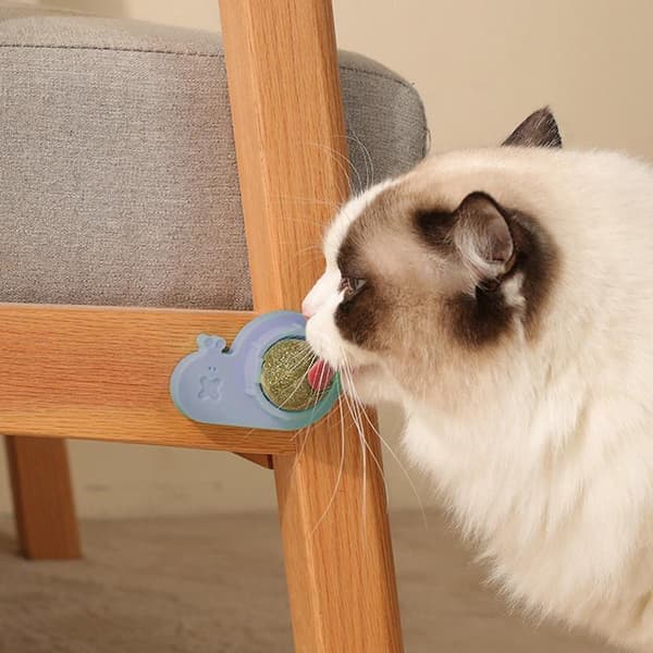 Kattenipkuglelegetøj Selvklæbende Interaktivt Tandslibelegetøj Bord Gray