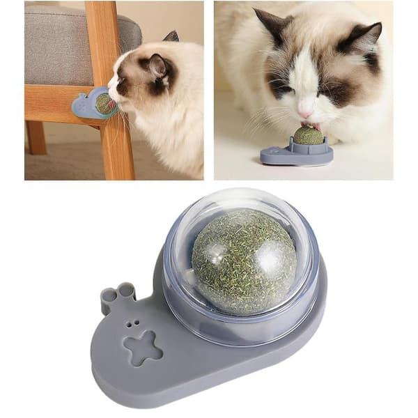 Kattenipkuglelegetøj Selvklæbende Interaktivt Tandslibelegetøj Bord Gray
