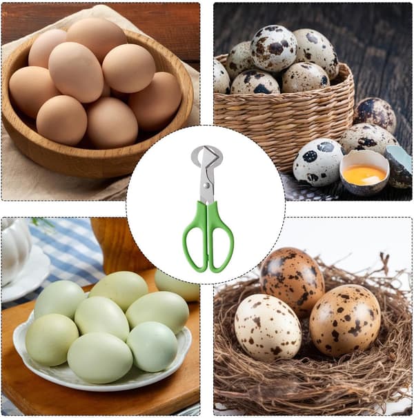 Bærbar Vaktel Egg Kutter Multifunksjonell Egg Kutter med Komfortabelt Håndtak