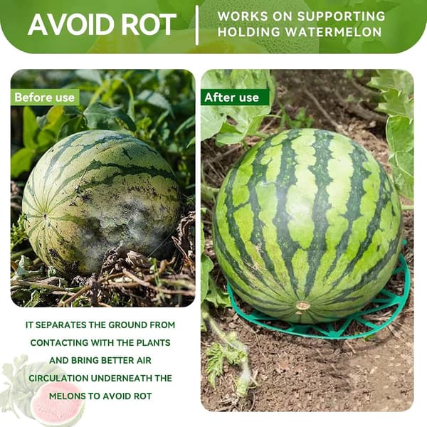 10 STK Melonholder, Vandmelonholder Stativ Melon Græskar Støtte Plast Græskar Støttesæt til Cantaloupe, Squash, Vandmelon
