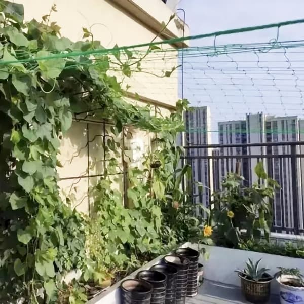 Plantenet / Støttenet til planter - 2x20m