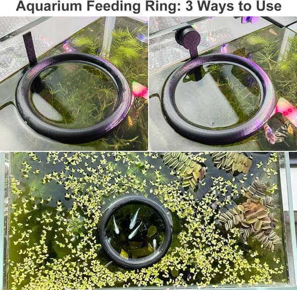 2 stk. magnetisk fiskefodringsring, akvarium flydende foderautomat, selvjusterende til vandstand fiskefoderholder til Betta guldfisk Guppy skildpadde