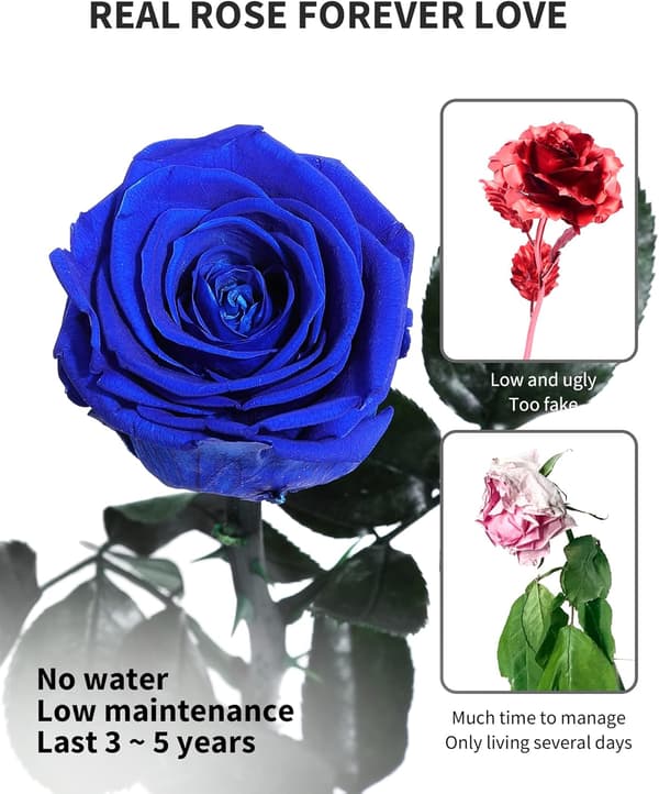 Levering med blå blomster Prime, bevarte blå roser for damer, ekte roser.