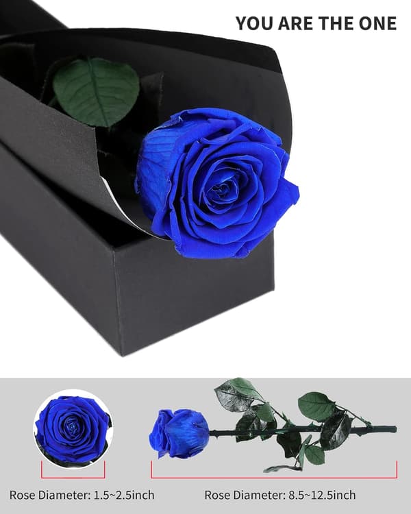 Levering med blå blomster Prime, konserverede blå roser til damer, ægte roser.