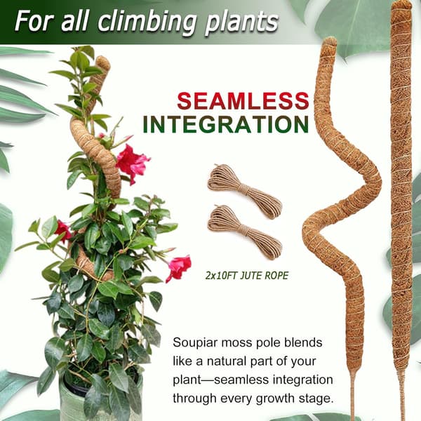 Mossstöd för växter 120 cm, böjbar mossstång för klätterväxter Monstera Murgröna 2-pack