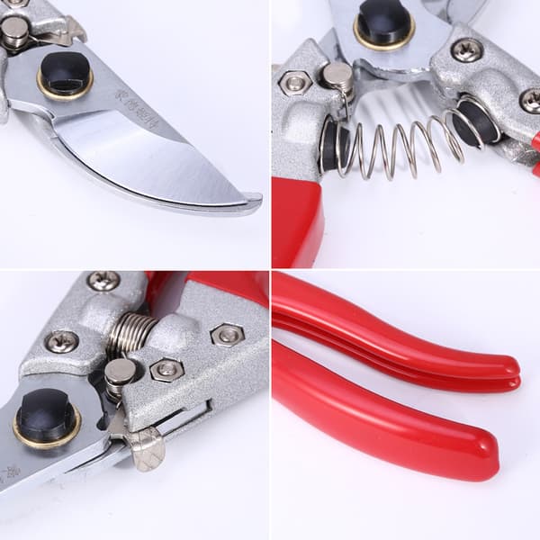 V8 puutarhasakset, oksasakset, hedelmäsakset, kukkasakset, puutarhan oksasakset.