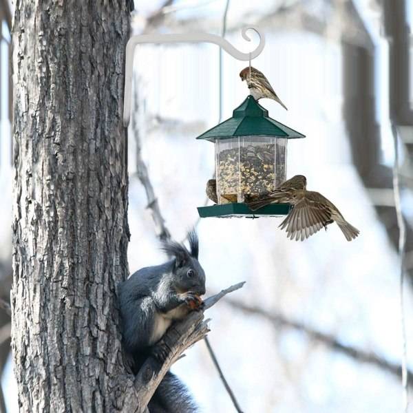 Kasvinpidike, riippukorin pidike, rautaseinäkiinnike, riippukori, seinä KLB