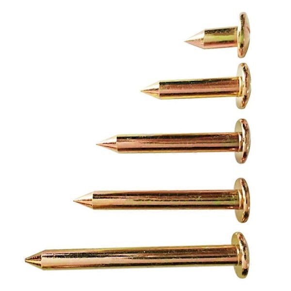 10 stk/sett 3/5/7/8/10 cm Landmålingsspiker i stål Landmålingsmarkør Grensemerke 10cm