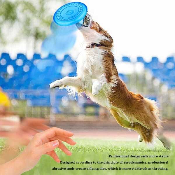 Frisbee för husdjur, Hundskiva, Hundfrisbees, Hundträning utomhus, Frisbeeleksak för hundar, Bästa Hundleksak, för spelsporter Träningsaktivitet och utomhuslek
