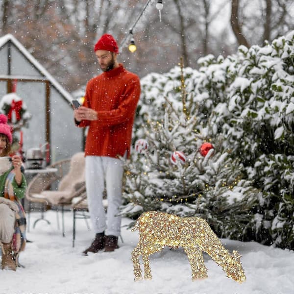 Utendørs Julefigur LED Ski Gårdshus Hagedekorasjon Ornament 35cm C