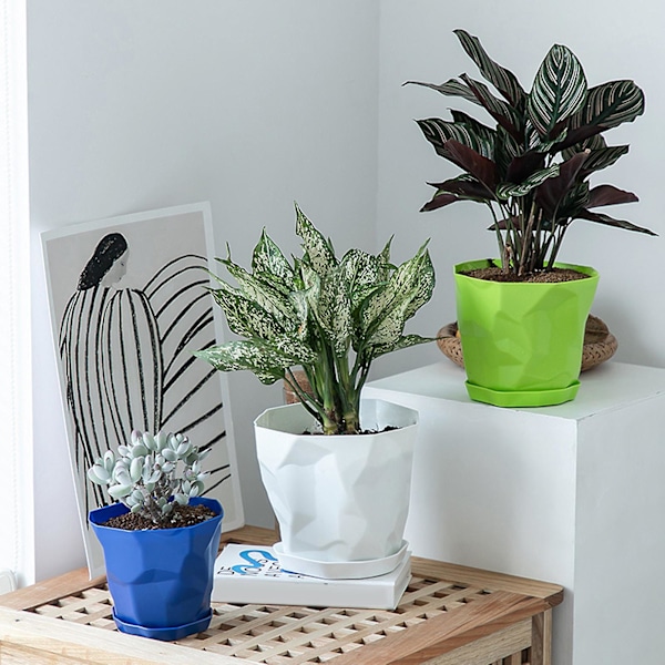 Blomkruka Hållbar Stabil Dekorativ Ventilerande Suckulenter Plantskola Trädgårdskruka med Bricka för Hemmet Green XL