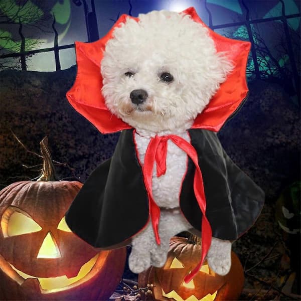 Halloween Kæledyr Katte Og Hunde Kapper - Forvandl Til Heksekostumer