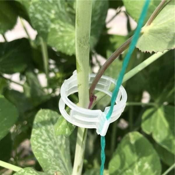 200-pakning plastklips for hagestøtter, tomatklips 100st