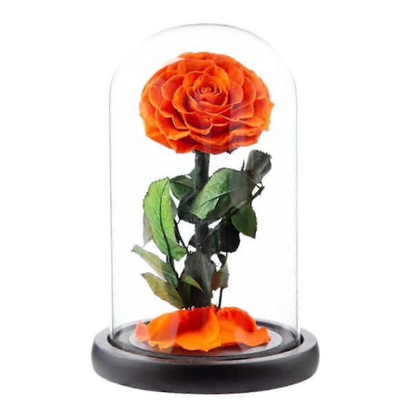 Evig Rose i Glaskuppel Romantisk Æstetisk Kunstig Evig Rose Blomst i Glaskuppel Gave Møll Orange