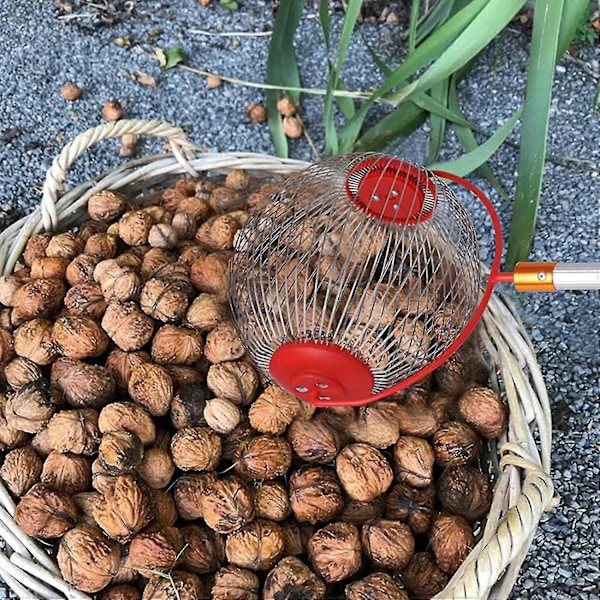 Nødopsamler Æggebørste - Sideåbning Dump Valnødopsamler Rulle Pinjekoneopsamler Opsamler Boldopsamler Til Valnødder Pecan C S