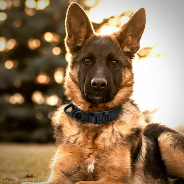 Hundeforetøy Militær Myk Håndtak Leie Sett Hund Utendørs Trening Khaki L khaki L