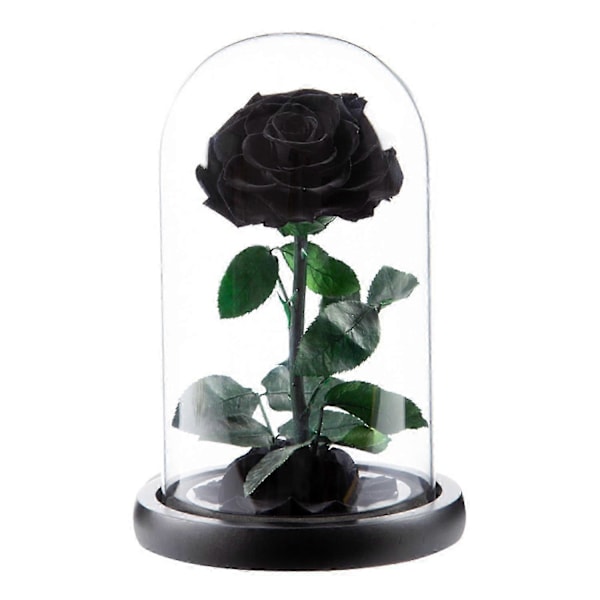 Evig Rose i Glaskuppel Romantisk Æstetisk Kunstig Evig Rose Blomst i Glaskuppel Gave Møll Black