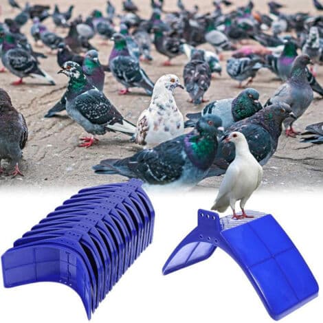 Duvpinne, träyta, plastpinnar, galler, duvpinnar, 10-pack