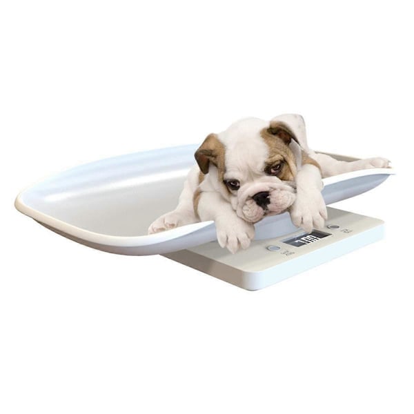 Digital Vægt til Hunde & Katte Op til 10KG, Multifunktionel LCD Display Digital Vægt Dyrevægt