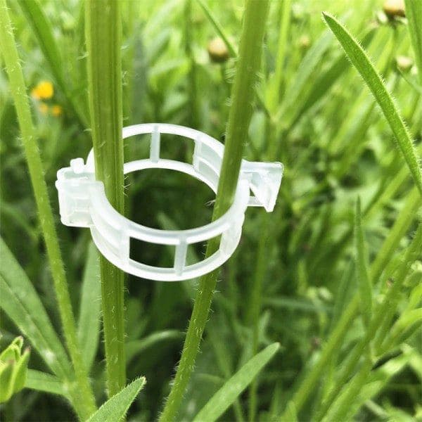 200-pak plastikclips til havestøtter, tomatclips 200st
