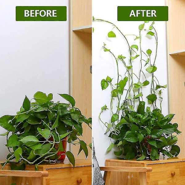 50 st plantklämmor klätterväxtklämmor självhäftande växtstöd