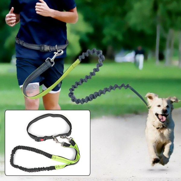 Justerbart joggingkoppel hund med bälte