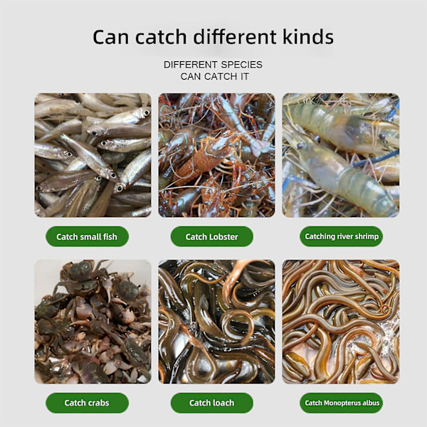 Rejefælde Fisk Minnow Krabbe Krebs Crawdad Net Ålebur - Velegnet til saltvands- og ferskvandsfiskeri Ash black