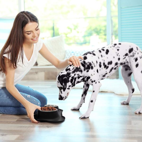 1 st. Hundskålar Halksäkra Dubbla Skålar i Rostfritt Stål med Spillskyddande Silikonmattor för Katter Hundar Valpar Mat Vatten Matning Black M