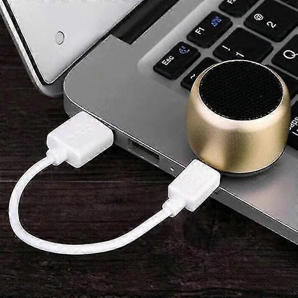 Pairable Mini Bluetooth-högtalare Metallbas Bluetooth Subwoofer Bärbar Bluetooth-högtalare Trådlös Högtalare - I lager blue