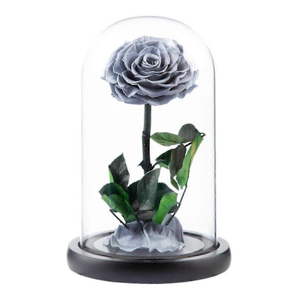 Evig Rose i Glaskuppel Romantisk Æstetisk Kunstig Evig Rose Blomst i Glaskuppel Gave Møll Grey