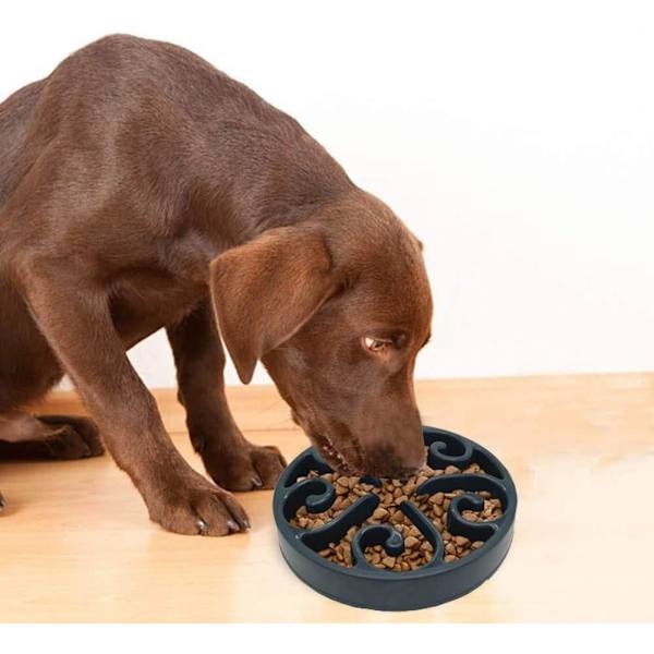 1 st Slowmatningskål för Hund, Långsam Ätningsskål för Mellanhundar, Rolig Pussel Slow Feed Halksäker Interaktiv Blo Blue