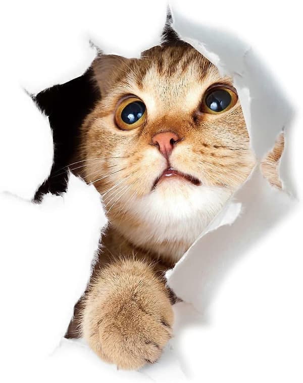Söta 3D Katt Väggdekaler 3-pack Väggdekaler Flickor Pojkar Sovrum Vardagsrum Väggdekor Cat 2