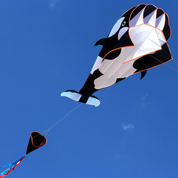3D Drake Stor Ramlös Mjuk Parafoil Jätteval Flygande Drake