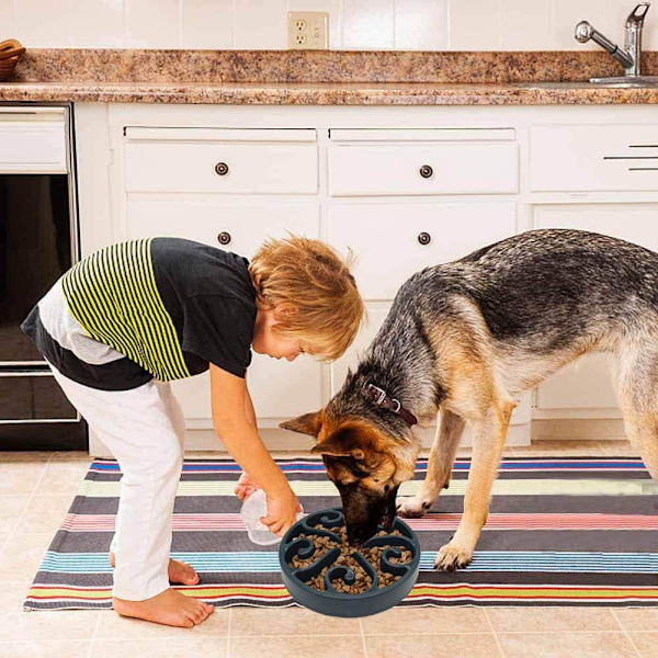 1 st Slowmatningskål för Hund, Långsam Ätningsskål för Mellanhundar, Rolig Pussel Slow Feed Halksäker Interaktiv Blo Blue