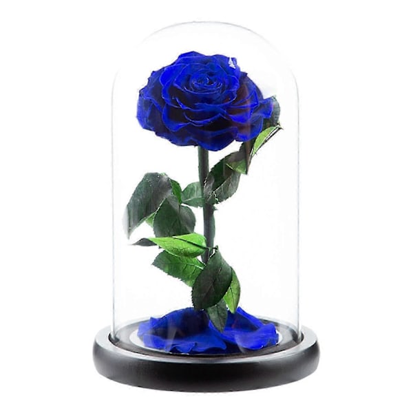 Evig Rose i Glaskuppel Romantisk Æstetisk Kunstig Evig Rose Blomst i Glaskuppel Gave Møll Denim blue