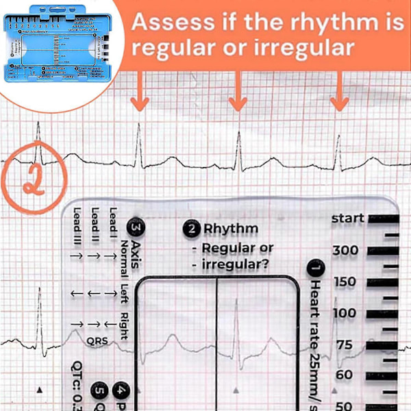 EKG 7-stegs Linjal, EKG Linjal Plastlinjal Mätverktyg