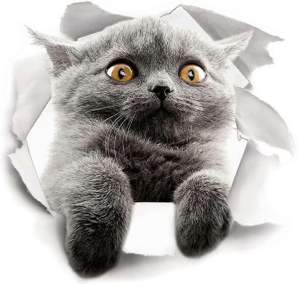 Söta 3D Katt Väggdekaler 3-pack Väggdekaler Flickor Pojkar Sovrum Vardagsrum Väggdekor Cat 2