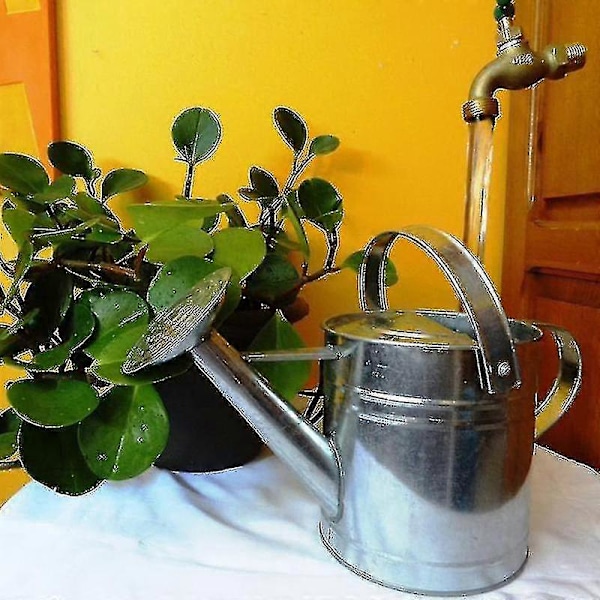 Näkymätön Virtaava Juoksuputki Kastelukannu Suihkulähde Sinkkiseoksesta Kelluva Hana Suihkulähde Kotiin Puutarhaan