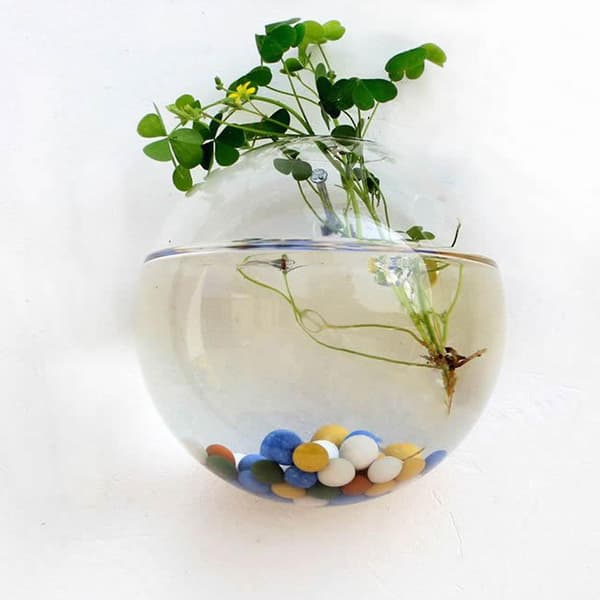 Väggmonterad Glasblomvas Transparent Design Halvrund Vas För Hemmakontor Vardagsrum 12cm
