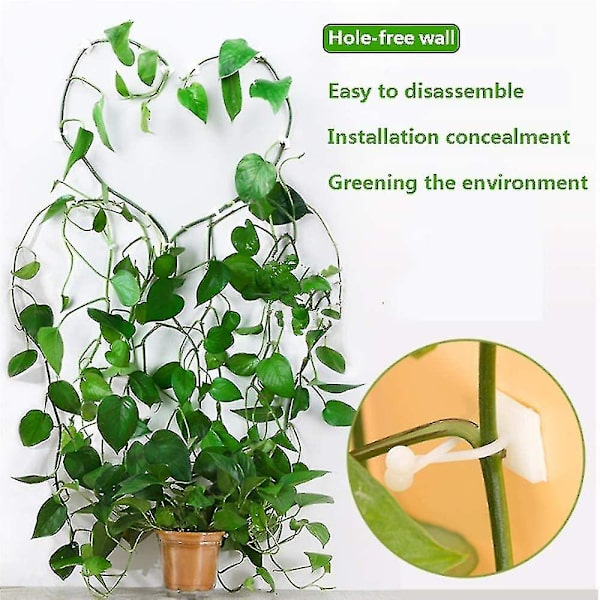 50 st plantklämmor klätterväxtklämmor självhäftande växtstöd