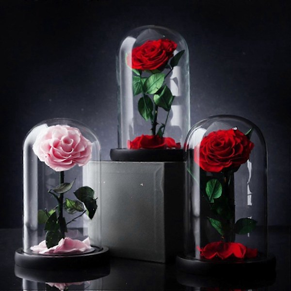 Evig Rose i Glasskuppel Romantisk Estetisk Kunstig Evig Rose Blomst i Glasskuppel Gave Møll Black