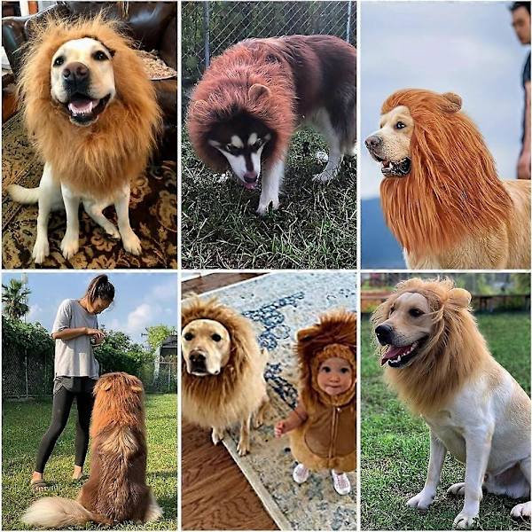 Realistsik & Rolig Lejonman för Hundar - Husdjurskläder Lejonman Hund Cosplay Kostymer med Öron Fancy Dress Up för S/M/L Hundar Black M