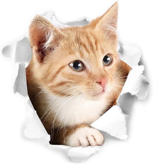 Söta 3D Katt Väggdekaler 3-pack Väggdekaler Flickor Pojkar Sovrum Vardagsrum Väggdekor Cat 2