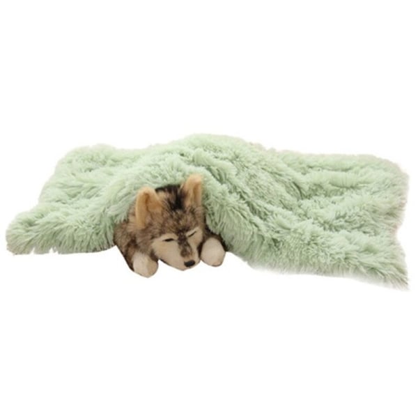 Premium Fleece Dyrepledd, Hundesett Kattepledd Kast, Vaskbar Dobbeltlags Sovematte for Hundebed, Sofa, Sofa, Bil M: 78*54cm Fruktgrønn 78*54cm