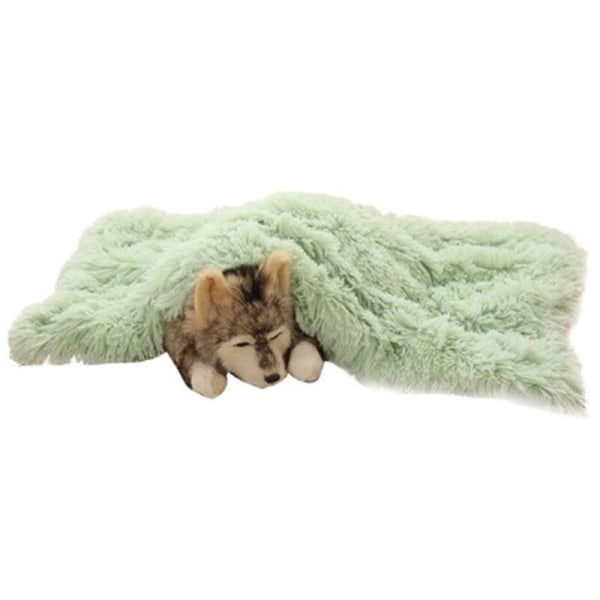 Premium Fleece Täcke, Hund Katt Täcke, Tvättbar dubbellagers sovmatta för hundsäng, soffa, soffa, bil L: 100*75 cm fruktgrön 100*75cm