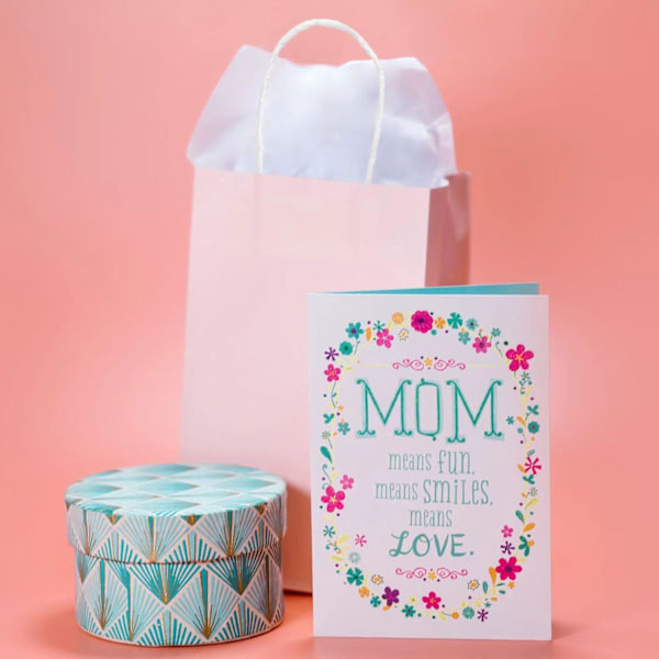 Gaveposer til Fest 10 stk Papirgaveposer til Barnfest, Papirposer med Håndtak, Små Gaveposer Ideelle til Bursdag, Bryllup, Babyshower, Jentefest Pink 10 count