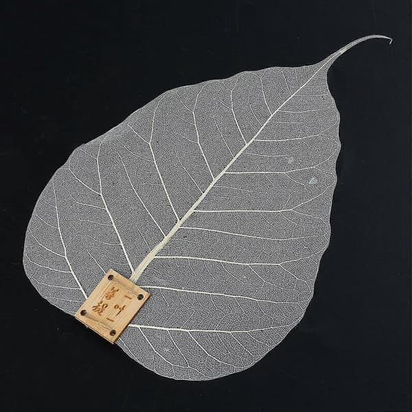 Te-infusionsenhet Te Kaffefilter Bladfilter Tesil Dryckesartiklar Teservis Te-ceremoni Verktyg -Yx