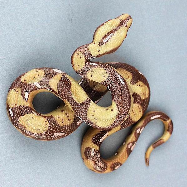 Simuleringsdjurmodell Plast Låtsassnok för Docka Halloweenfest Läskig Prank Snok Leksak Stor Python Snok Modell Golden python