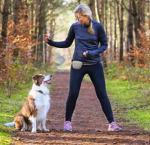 Hundegodbiterpose, grå, kan oppbevare søppelposer og er stilig