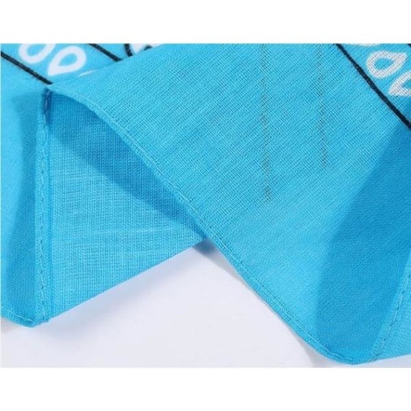 Bandana Paisleymönster Scarfs Lätt white